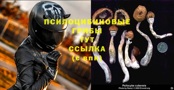 синтетический гашиш Богородск
