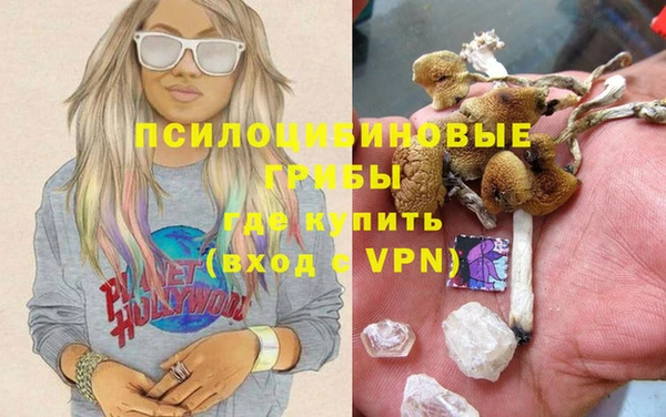 не бодяженный Богородицк