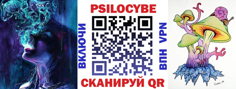 Псилоцибиновые грибы Psilocybe  где можно купить наркотик  Мыски 